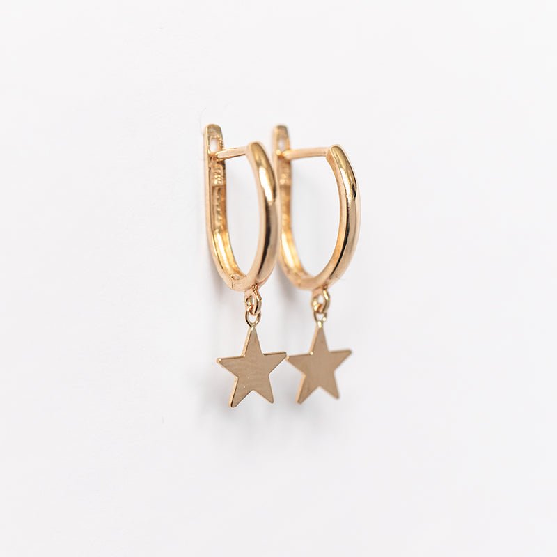 Drop Star Oval Huggie Earring
