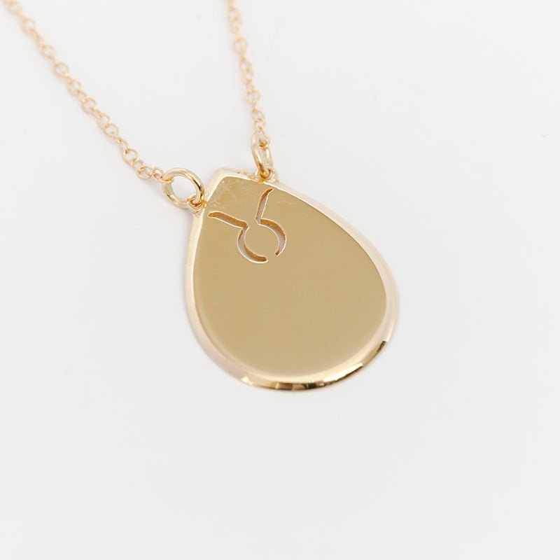 Raindrop Disc Zodiac Necklace