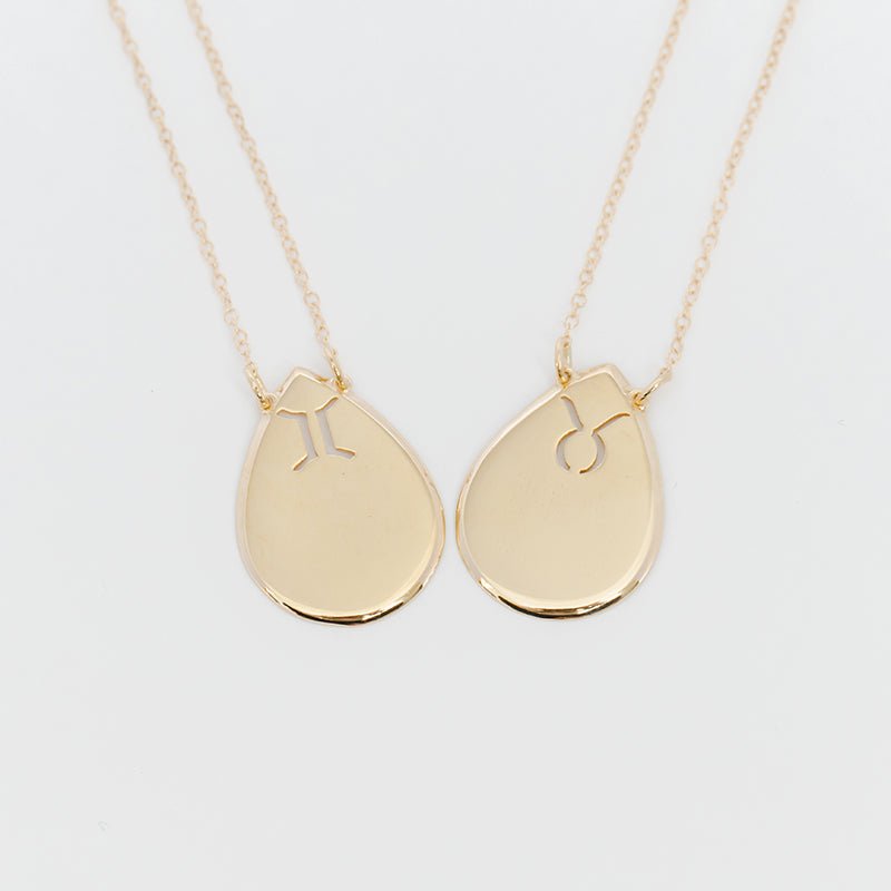 Raindrop Disc Zodiac Necklace