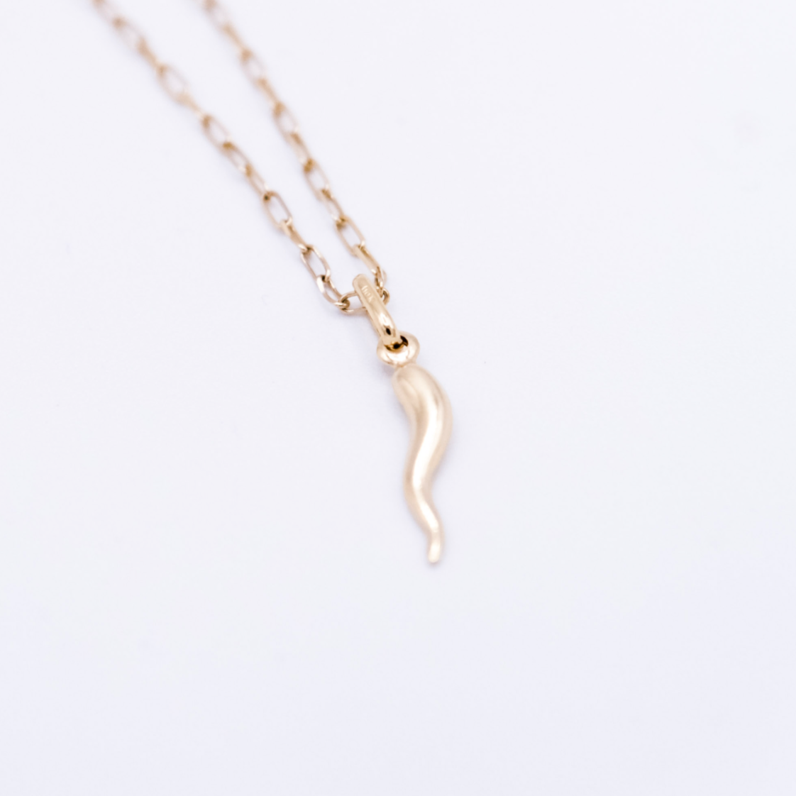 Small Horn Necklace