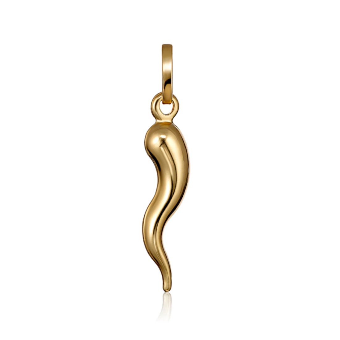 Italian Tradition Small Horn Necklace - Close View