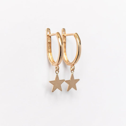 Drop Star Oval Huggie Earring