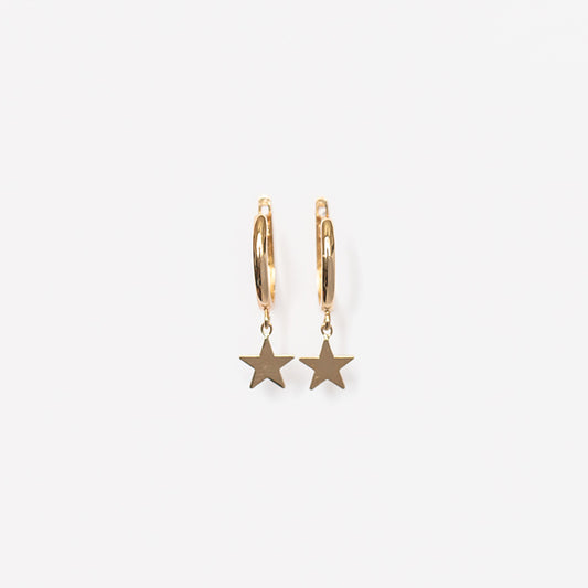 Drop Star Oval Huggie Earring