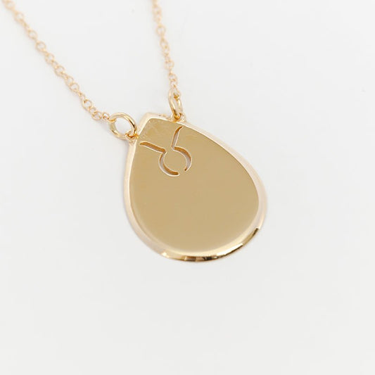 Raindrop Disc Zodiac Necklace