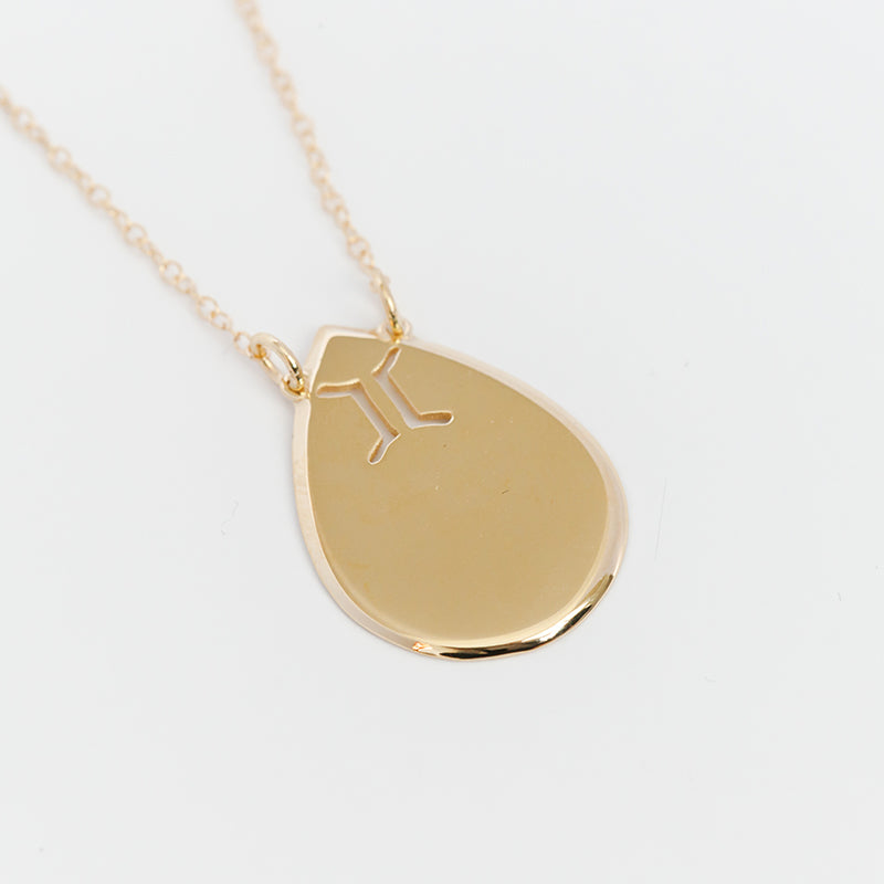 Raindrop Disc Zodiac Necklace